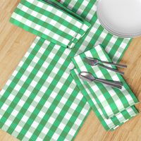 Garden Green and White Gingham Check