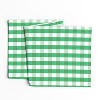 Garden Green and White Gingham Check