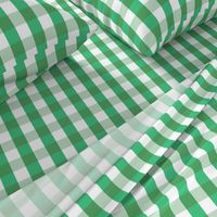 Garden Green and White Gingham Check