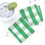 Garden Green and White Gingham Check