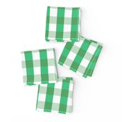 Garden Green and White Gingham Check