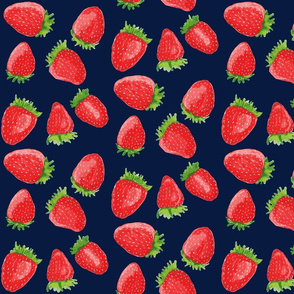 Summer Strawberries // Navy