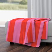 Color Clash Cabana Stripe in Pink/Red