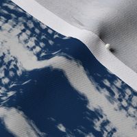 Shibori Indigo 5