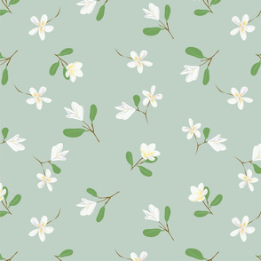 Plumeria floral pattern