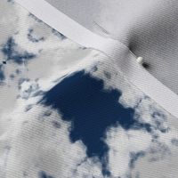 Shibori Indigo 4