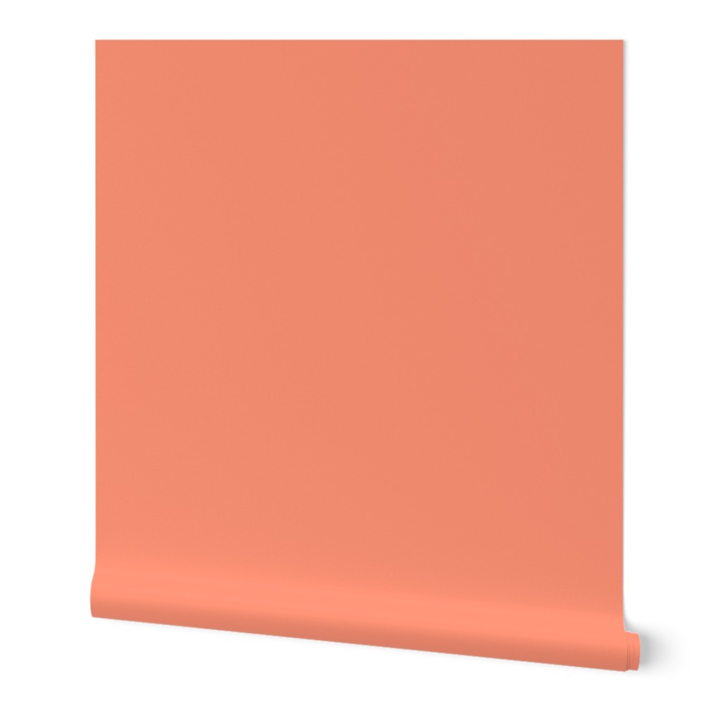 CSMC47 - Peach Pastel Solid