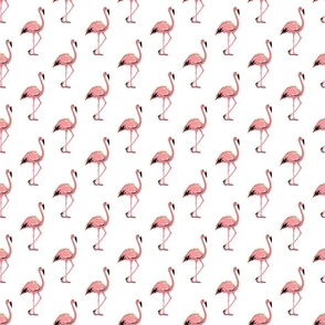 Flamingo 1 white