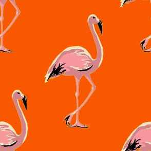 Flamingo  orange yellow