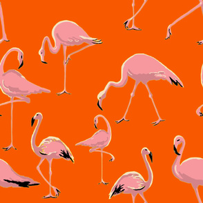 Flamingos orange yellow