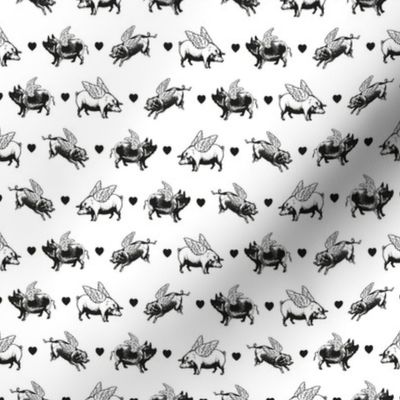 Vintage Flying Pigs | Black and White |