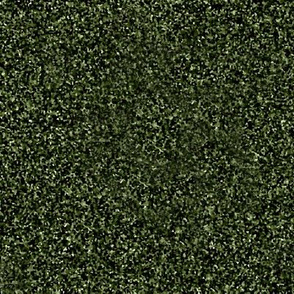 CSMC39 - Deep Limey Olive Speckled Texture