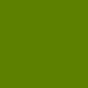 CSMC39 - Limey Avocado Green Solid
