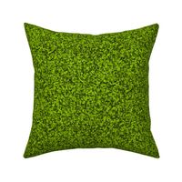 CSMC39 - Limey Avocado Green Speckled Texture