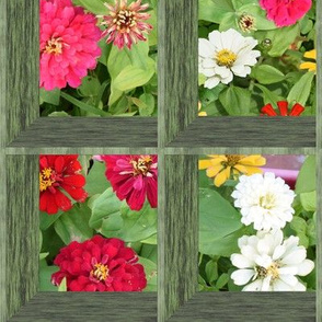 Attic Windows on Zinnia Flowers