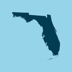 Florida silhouette - 18" navy on light blue