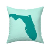 Florida silhouette - 18" teal on aqua