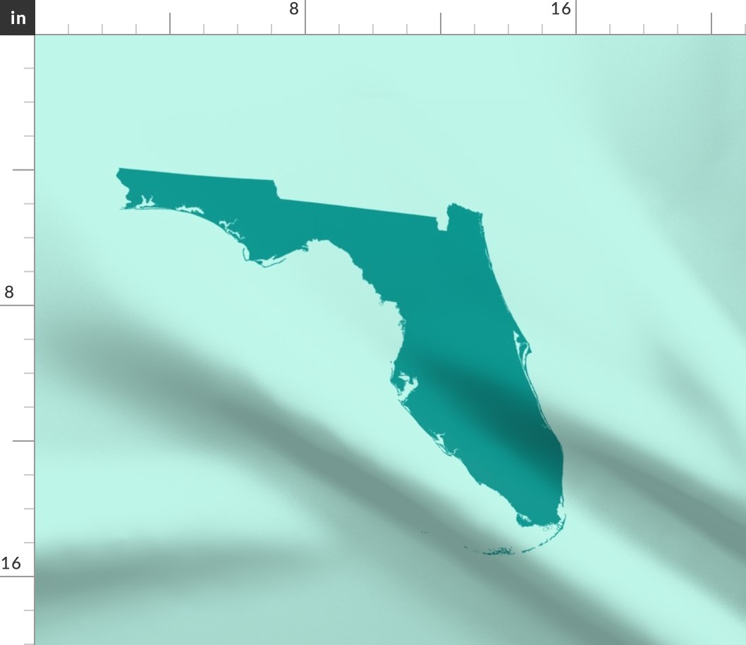 Florida silhouette - 18" teal on aqua