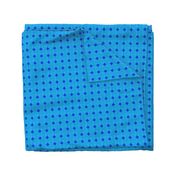 CSMC44 - Peekaboo Diamonds aka Polka Dot Solidarityin Blue and Aqua