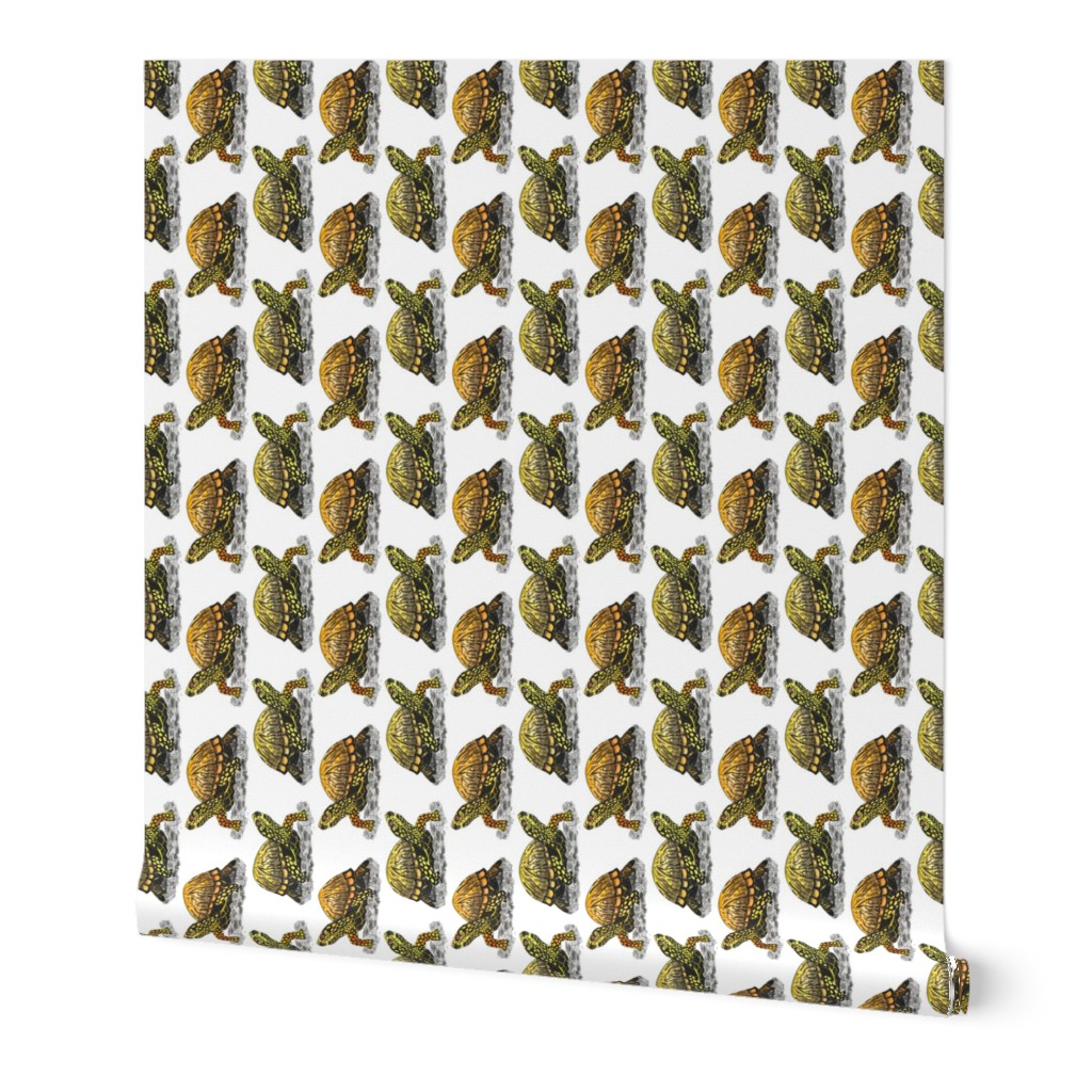 box turtle tea towel