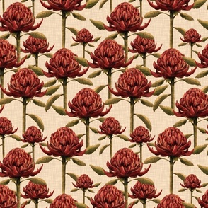 Waratah wild - Vintage