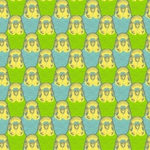 A Smaller Buncha Budgies