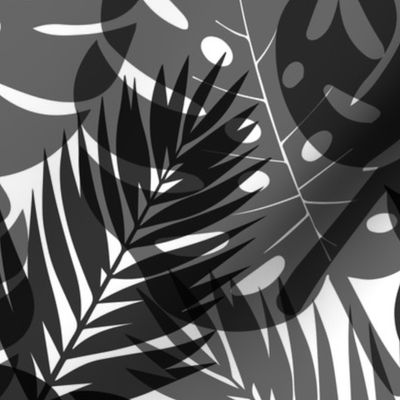 Tropical Shadows - Black on White - Large Scale