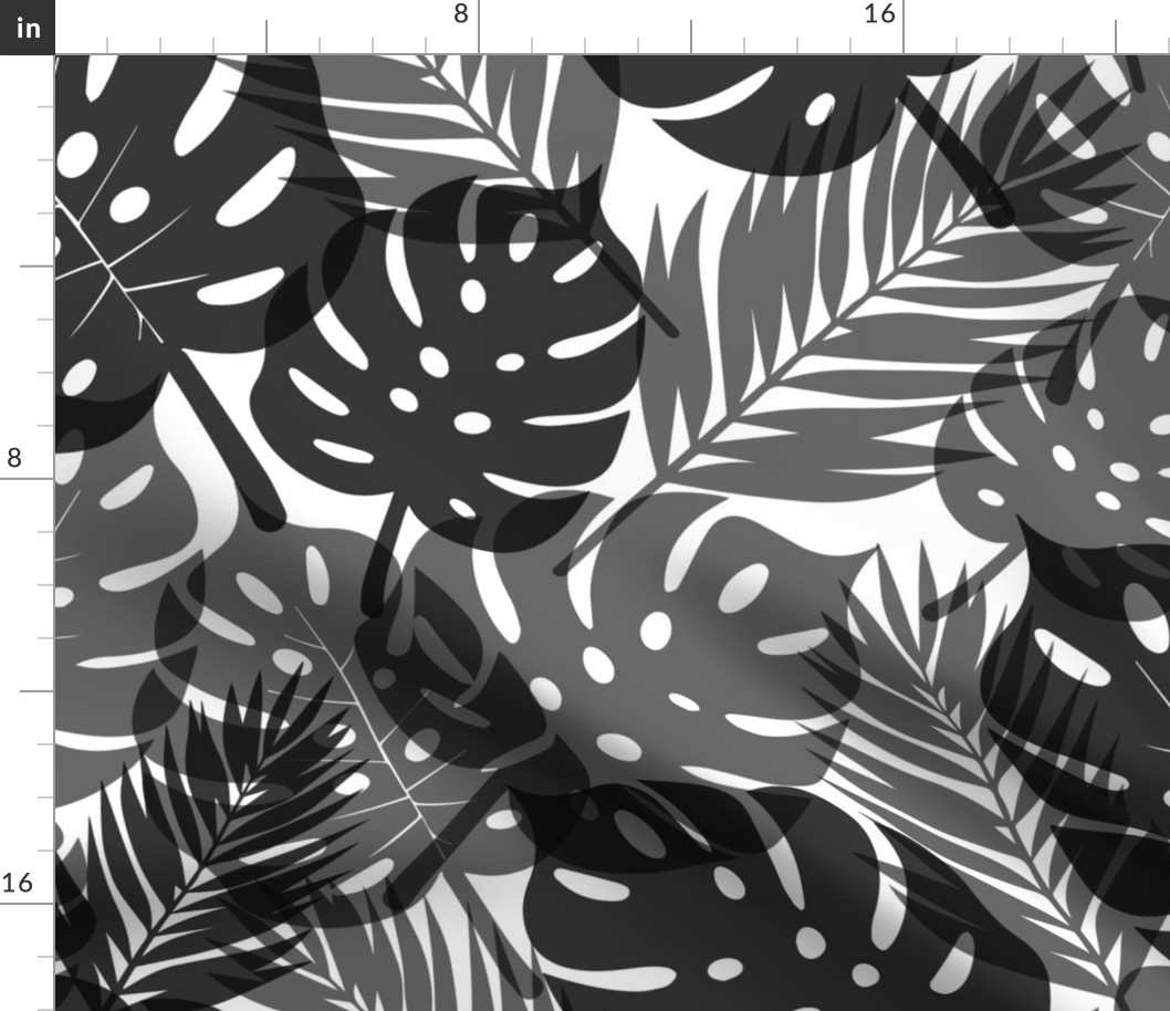 Tropical Shadows - Black on White - Large Scale