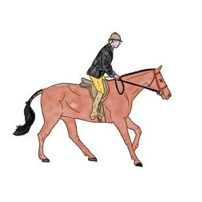 EQ_6000 Equestrian rider hunter class