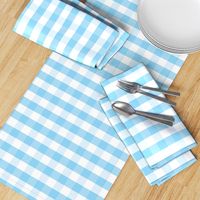 Blue and white plaids