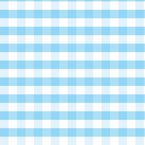 Blue and white plaids