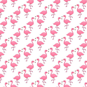 Pink flamingo cute birds