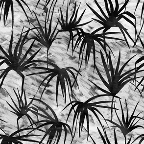 Bamboo Fern black and white