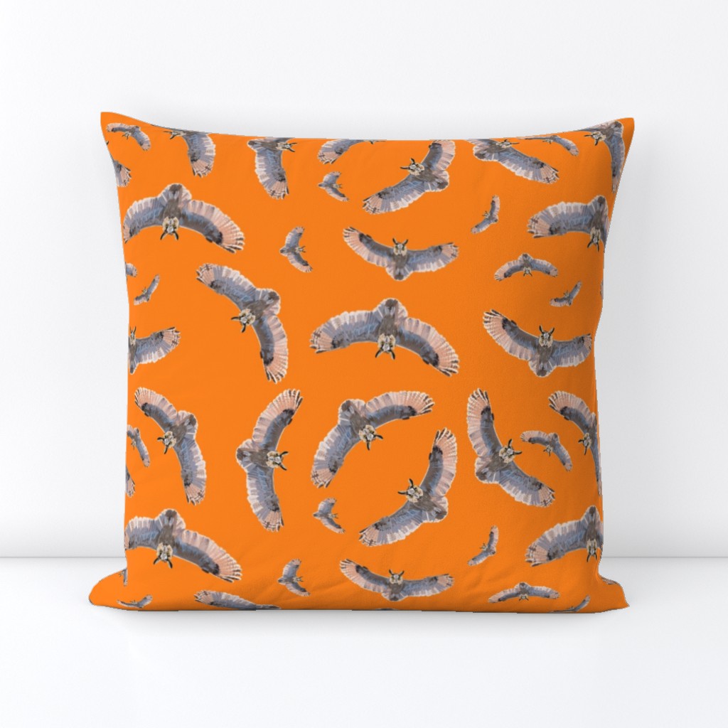 Flock of Long Eared Owls in Orange