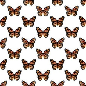 Monarch Butterfly Pattern  No. 2 | Orange and Black | Butterflies | Nature | Insects | Wings