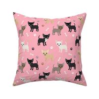 Chihuahua Dogs Pink