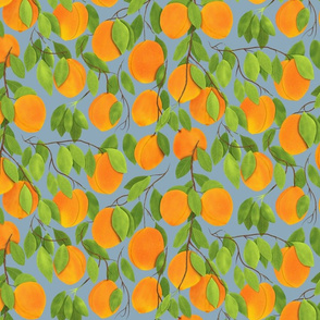 Peaches on Grey background