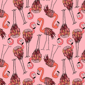 YANI_MENGONI_DESIGNS_Flamingo_Pink-01