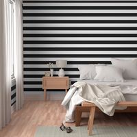 6 Inch Stripe-Black and White