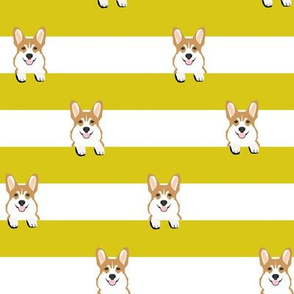 corgi stripes - yellow, dog, dogs, pet, pets, corgis, corgi fabric