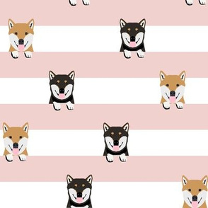 shiba inu stripes fabric - cute black and tan and tan dog, dogs, pets, pet dog fabric - pink