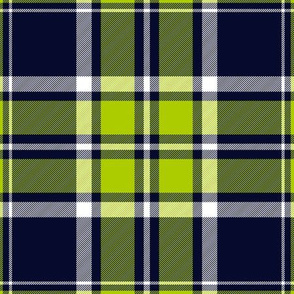 MacDonald tartan, lime-navy variant, 9"