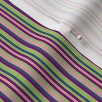 BNS4 - Narrow Variegated Stripe in Pastel Green - Cadet Blue - Maroon - Mauve 