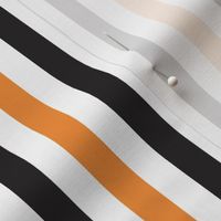 1/2 in. "Halloween Stripe" (Vertical Stripes in Black and Orange)
