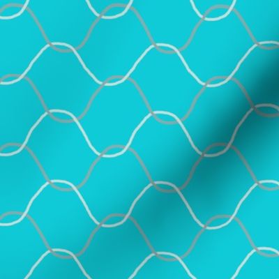 Chickenwire on Turquoise