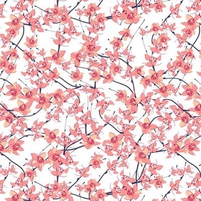 Delicate twigs in pink flowers on a white background