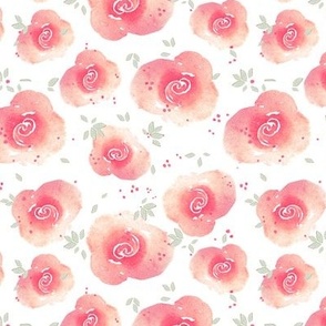 Watercolor coral roses on a white background