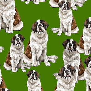 Saint Bernard on Green