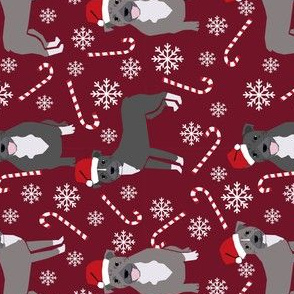 RAILROAD -  Pitbull peppermint stick winter candy cane christmas fabric maroon