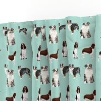 custom aussie and english springer spaniel dog fabric